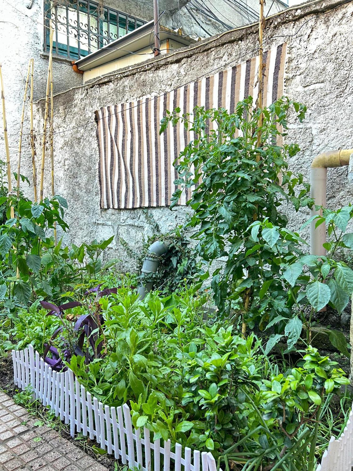 Vila Koltrina Σκόδρα Εξωτερικό φωτογραφία